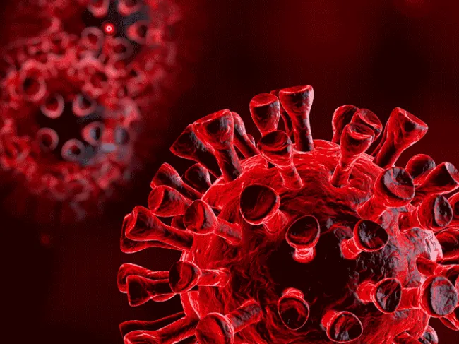 Coronavirus